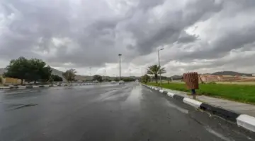 «الأرصاد»: أمطار رعدية مع زخات من البرد على أجزاء من 7 مناطق – أخبار السعودية